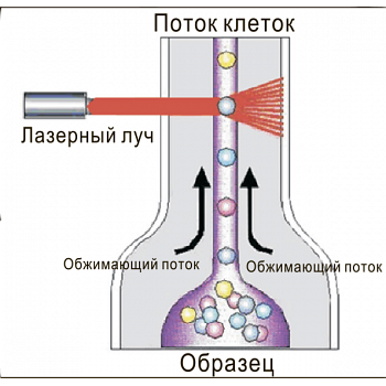 Купить Анализатор соматических клеток в молоке методом проточной цитометрии «BioUniScan» SIBAGROPRIBOR по лучшей цене с доставкой - интернет-магазин Прогрессивные решения
