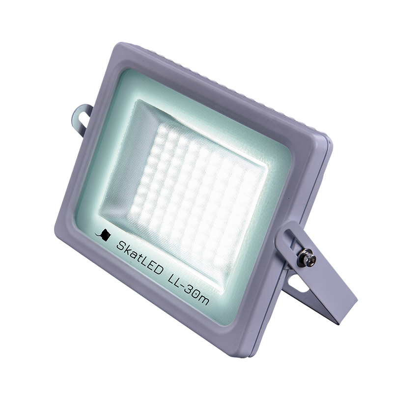 SkatLED LL-30m БАСТИОН (LED)  по лучшей цене с доставкой - интернет-магазин Прогрессивные решения
